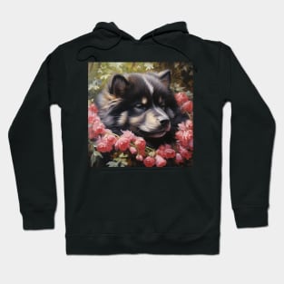 Finnish Lapphund Puppy Hoodie